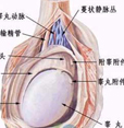 齊齊哈爾男科醫(yī)院