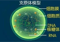 齊齊哈爾男科醫院